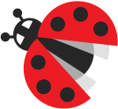 ladybug flying
